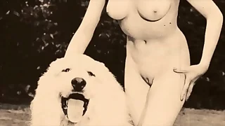 297 retro porn videos